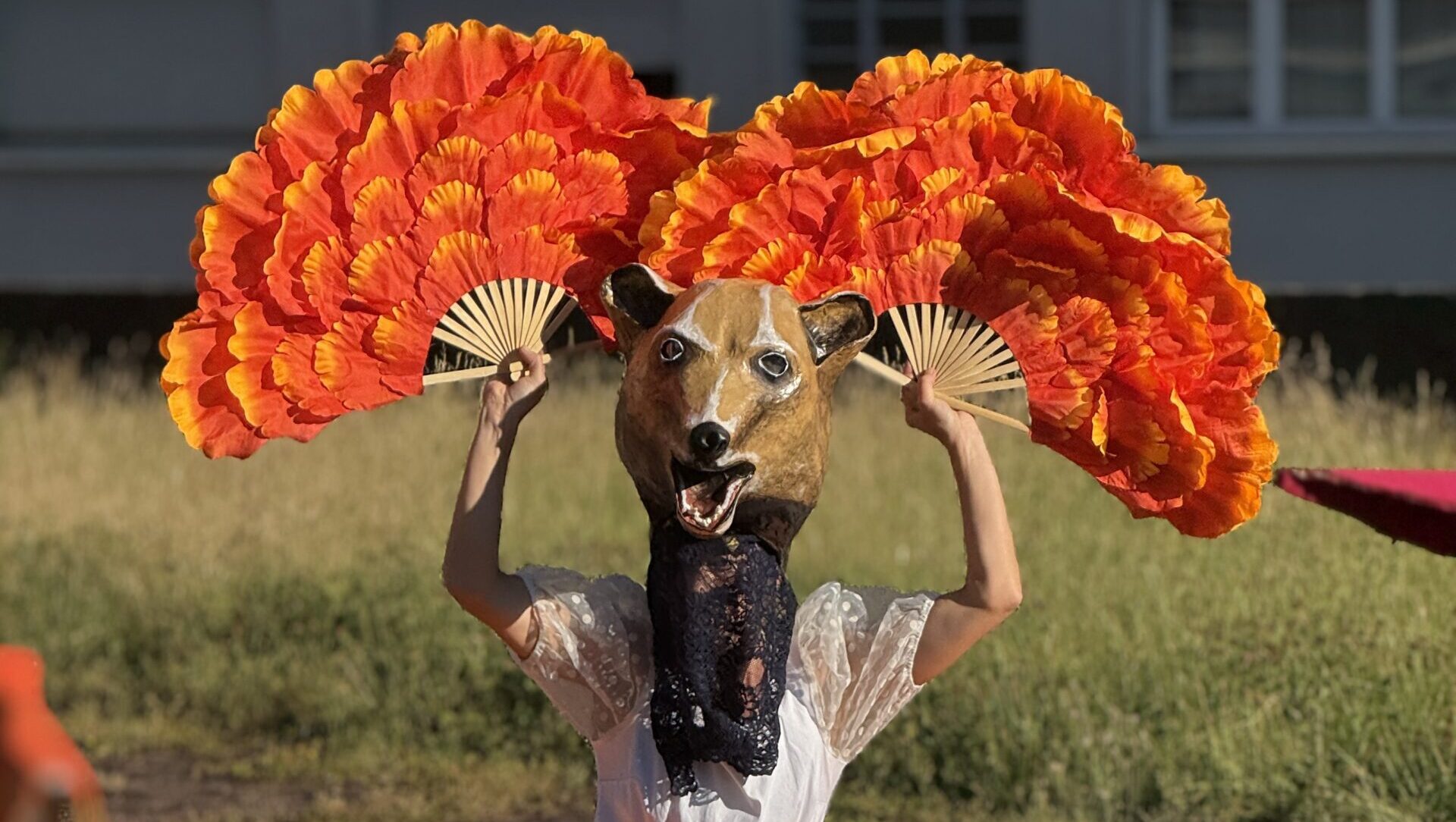 Description de l'image